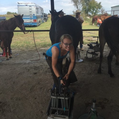 EM Farrier - certified horse