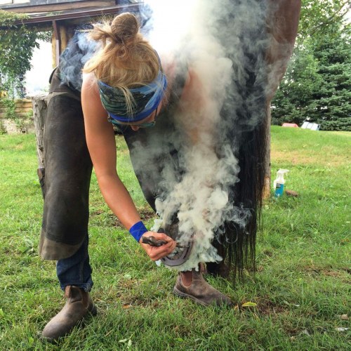 EM Farrier hoof-smoke